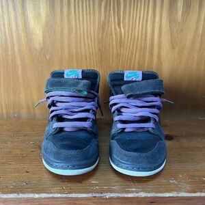 Nike SB Dunks Rare Northern Lights Mids